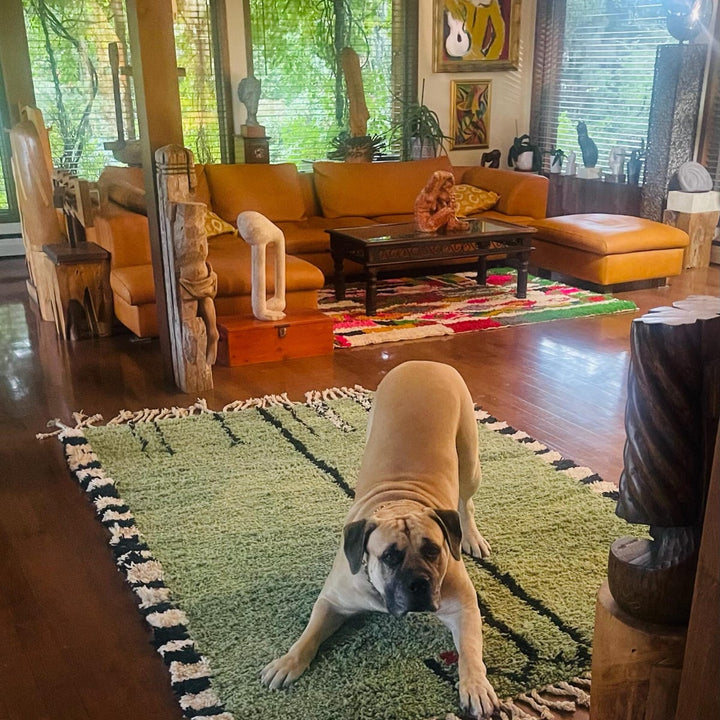 Green Moroccan Rug – Handmade Wool Berber Carpet