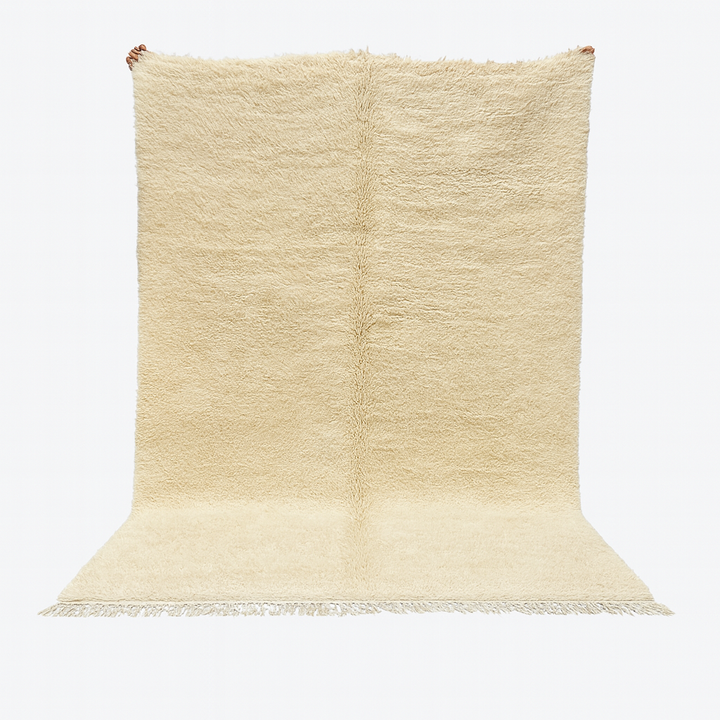 Beige rug with textured pattern on a white background