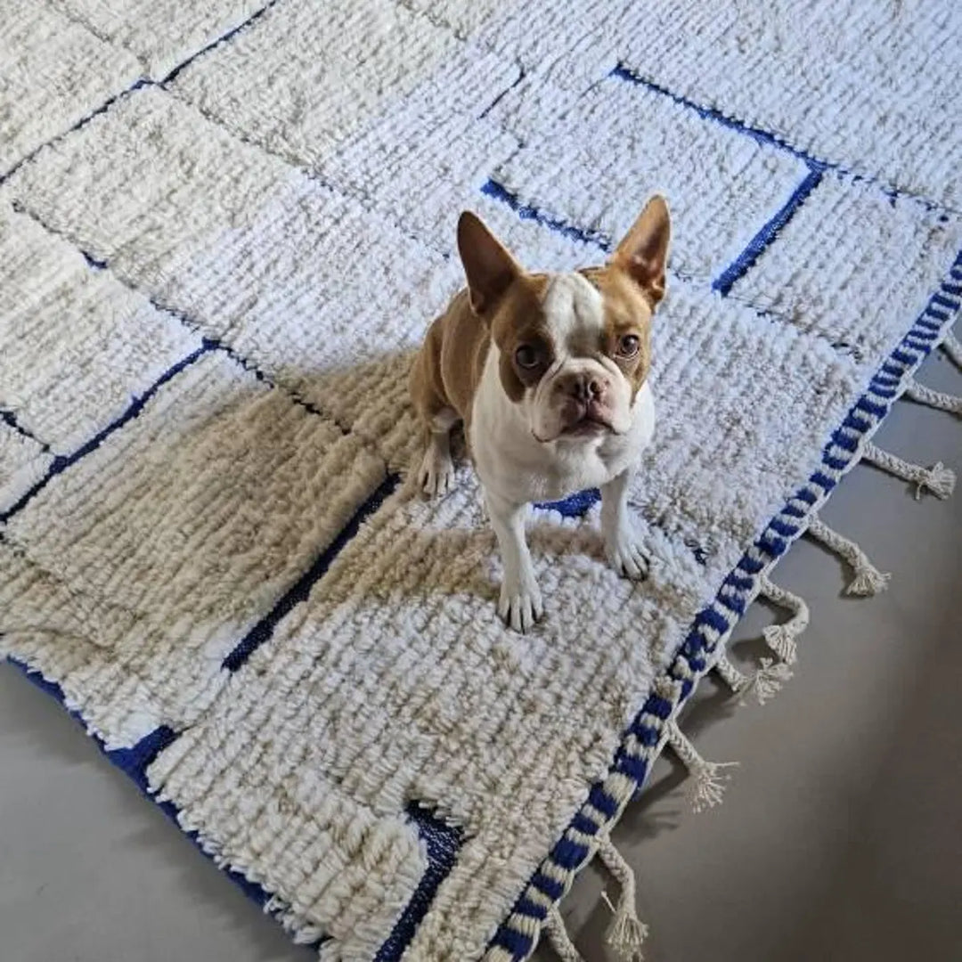 Custom White & Blue Moroccan Wool Rug – Handmade