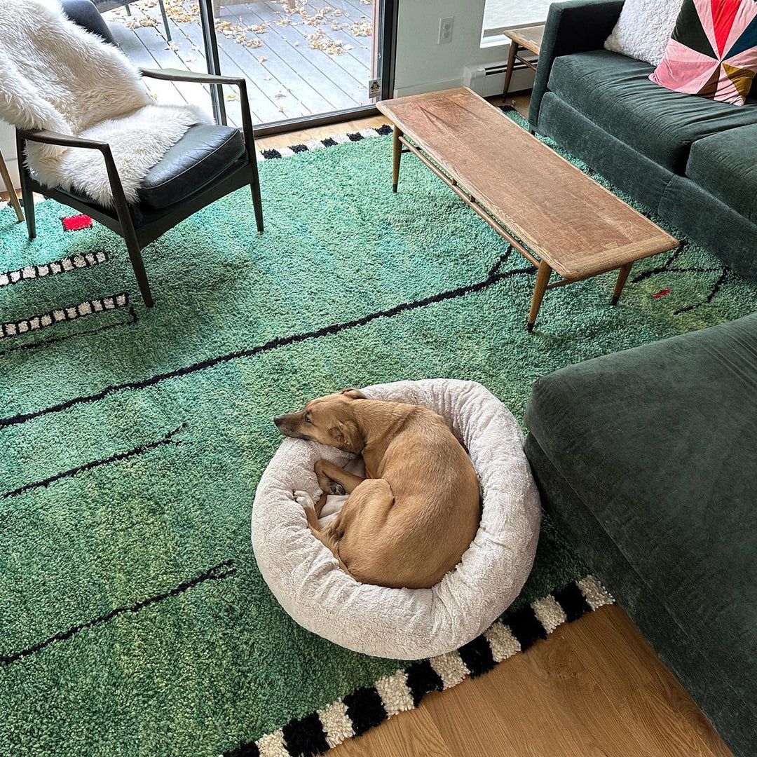 Green Moroccan Rug – Handmade Wool Berber Carpet