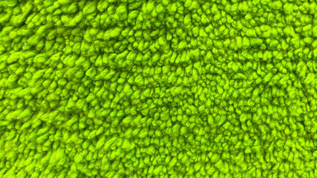 Solid green Moroccan wool rug with plush minimalist Berber texture