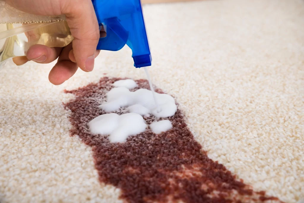 How to Handle Spills and Stains Specific to Handcrafted Rugs