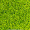 Beige green area rug, green children's rug, olive green carpet runner, area rugs with mint green, rug with green leaves, green rug leaf, minted rugs, outdoor carpet green grass, sage green rugs for living room, green Turkish rug, emerald green carpet, solid green rug, hunter green area rug, sage green checkered rug, lime green outdoor rug, seafoam green area rugs, green accent rug, small green rug, sage green area rug 9x12, green kitchen runner, emerald green and gold rug, lime green area rug, green Oushak rug, blue and green runner rug, sage green area rugs 9x12, blue green runner rug, green and yellow area rug, black white and green rug, round green area rug, purple and green area rug, black white green rug, green black and white rug, Amazon green rugs, green contemporary rug, kitchen runner green, green rug modern, green and blue runner rug, green black white rug, green rug small, yellow green area rugs, purple green area rug, green yellow area rug, round area rugs green, area rugs with lime green, lime green outdoor carpet, Amazon green carpet, carpet emerald green, green Turkish carpet, small rugs green, green traditional rug.